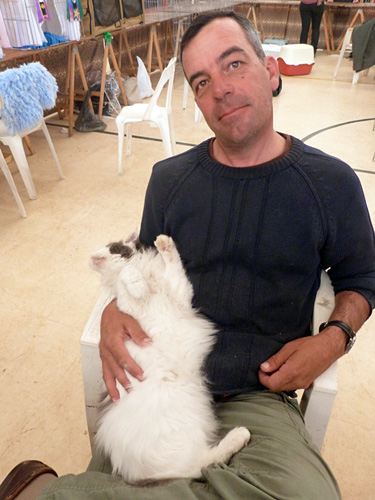 Gatos del criadero en la exposición de Mar del Plata, 2015