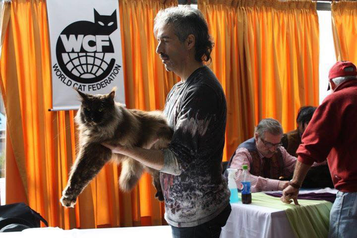 JustCoons Killer Queen en la exposición de Colonia, 2016