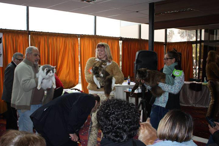 JustCoons Killer Queen en la exposición de Colonia, 2016