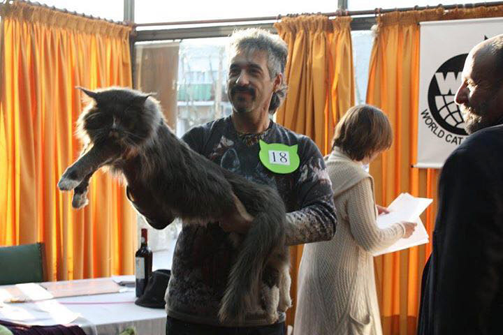 JustCoons Pas de Deux en la exposición de Colonia, 2016