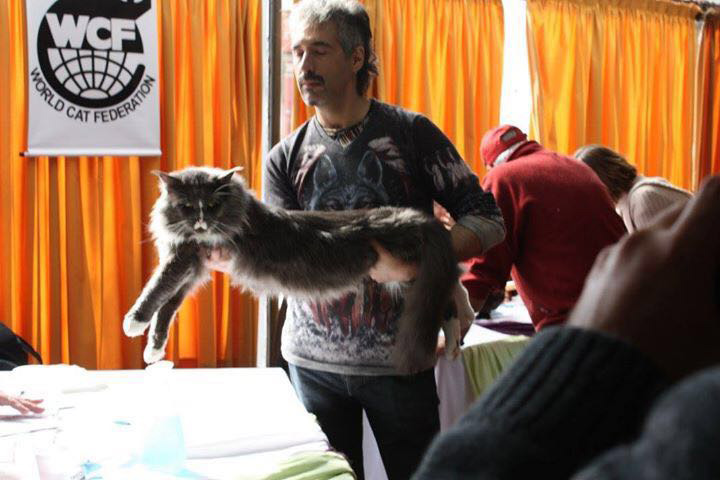 JustCoons Pas de Deux en la exposición de Colonia, 2016