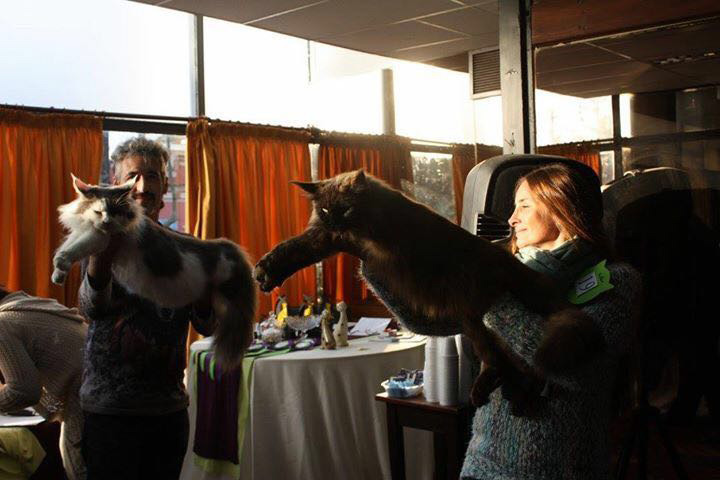 JustCoons Pas de Deux en la exposición de Colonia, 2016