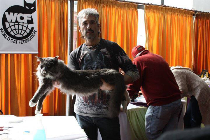 JustCoons Pas de Deux en la exposición de Colonia, 2016