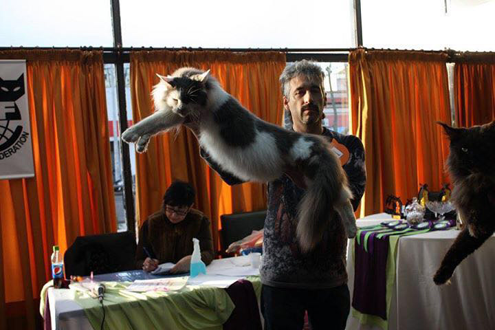 JustCoons Lux Groovy en la exposición de Colonia, 2016