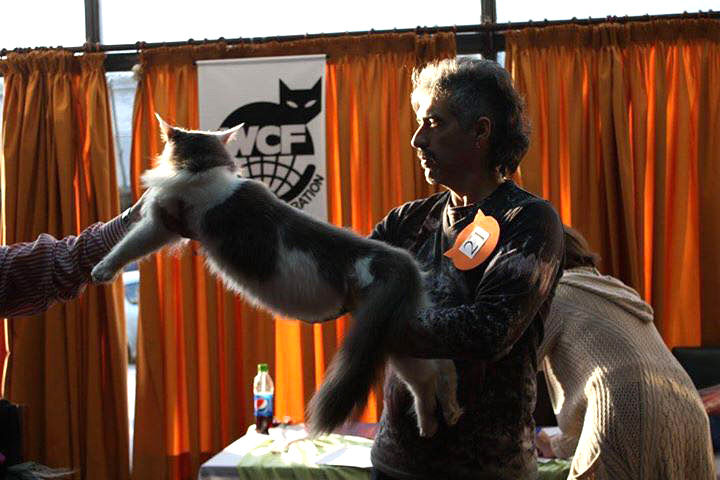 JustCoons Lux Groovy en la exposición de Colonia, 2016