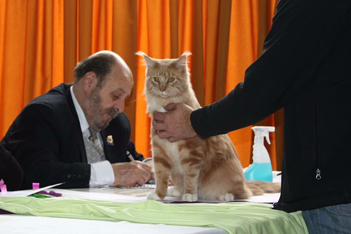 Luciernagas Sunny en la exposición de Colonia, 2016