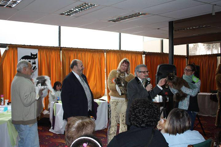 Un momento de la exposición de Colonia, 2016