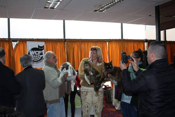 Un momento de la exposición de Colonia, 2016