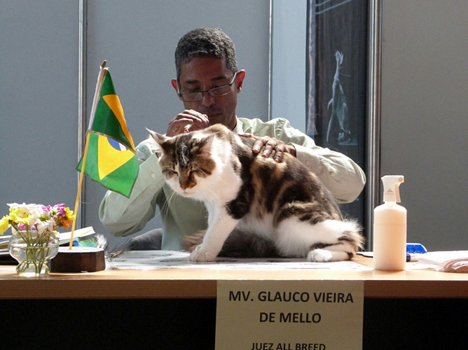 JustCoons Tech No en la exposición de Buenos Aires, 2017