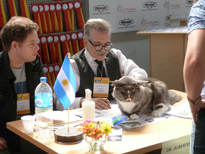 JustCoons Pas de Deux en la exposición de Buenos Aires, 2017