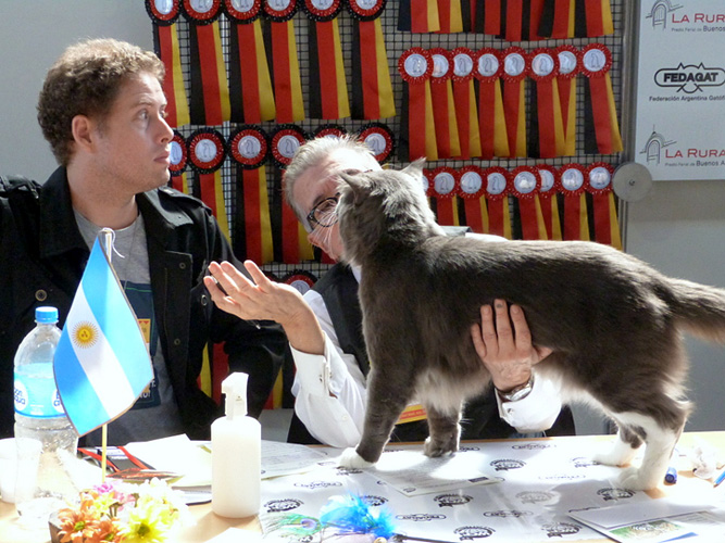 JustCoons Pas de Deux en la exposición de Buenos Aires, 2017