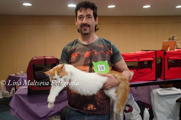 Luciernagas Hindu en la exposición de Montevideo, 2017