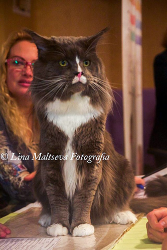 JustCoons Pas de Deux en la exposición de Montevideo, 2017