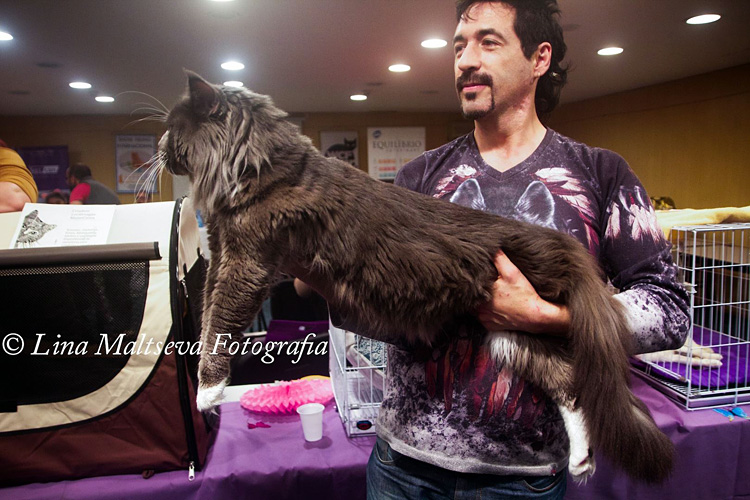 JustCoons Pas de Deux en la exposición de Montevideo, 2017