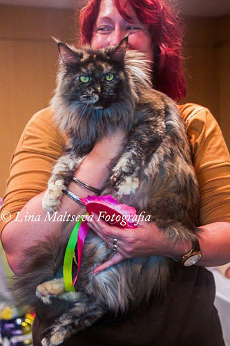 BR* Gugatto Rapanui en la exposición de Montevideo, 2017