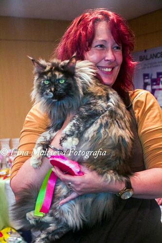 BR* Gugatto Rapanui en la exposición de Montevideo, 2017