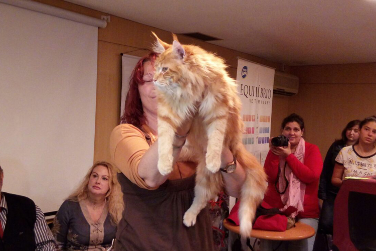 Un momento de la exposición de Montevideo, 2017