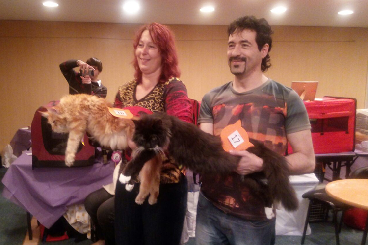 Un momento de la exposición de Montevideo, 2017