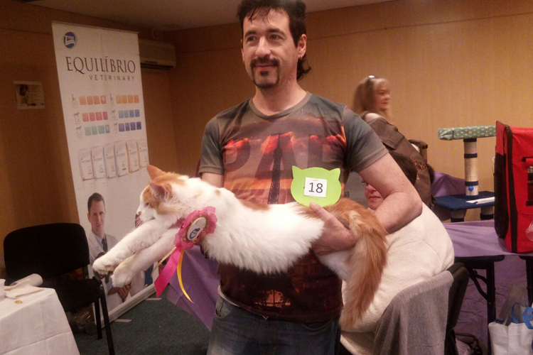Un momento de la exposición de Montevideo, 2017