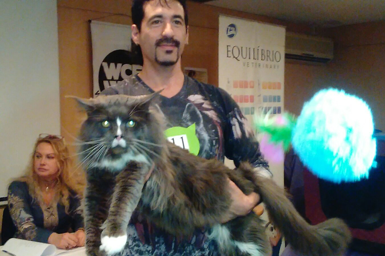 Un momento de la exposición de Montevideo, 2017