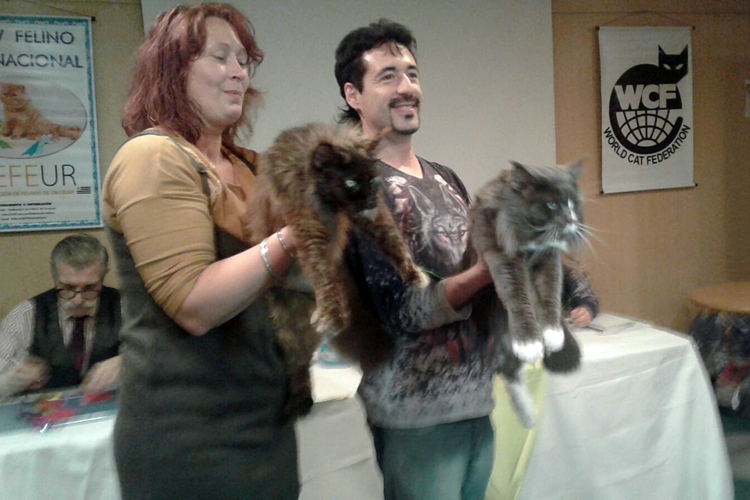 Un momento de la exposición de Montevideo, 2017