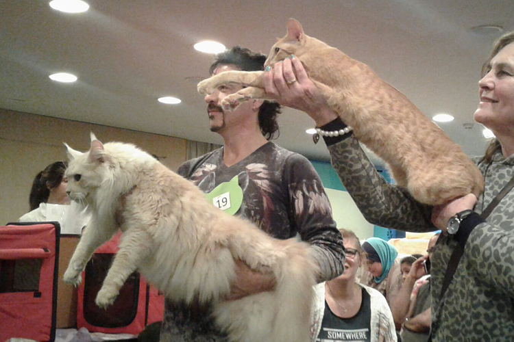 Un momento de la exposición de Montevideo, 2017