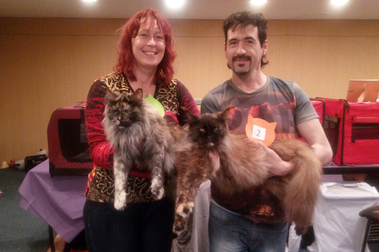 Un momento de la exposición de Montevideo, 2017