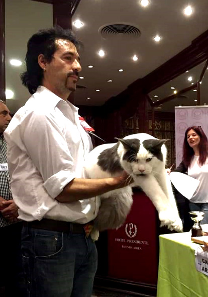 JustCoons Ulysses en la exposición de Buenos Aires, 2019